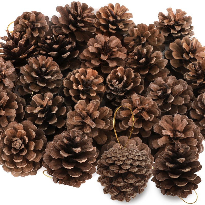 Helimoto 24 PCS Natural Pine Cones, 1.96 IN Pinecone Ornaments, Rustic Pine Cones for Crafts, Winter Decorations for Home, Bulk Pine Cones with Gold String for Christmas Table Decor Diy Christmas Ornaments - Image 1